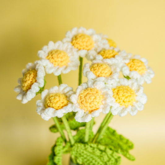 Handmade Daisies