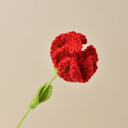 Handmade Carnations