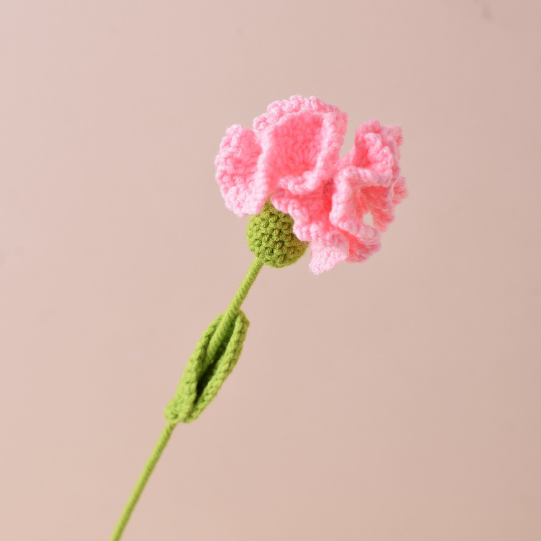 Handmade Carnations