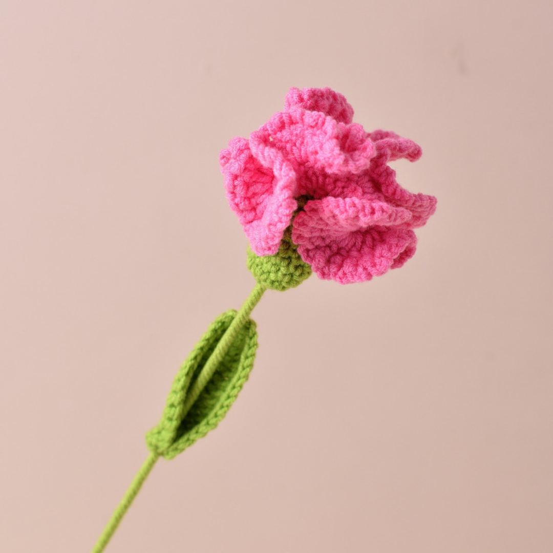 Handmade Carnations