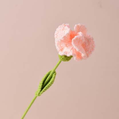 Handmade Carnations